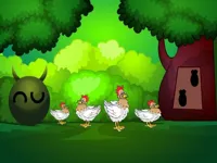 Find the jack cat image