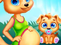 Cute Puppy Pregnant image